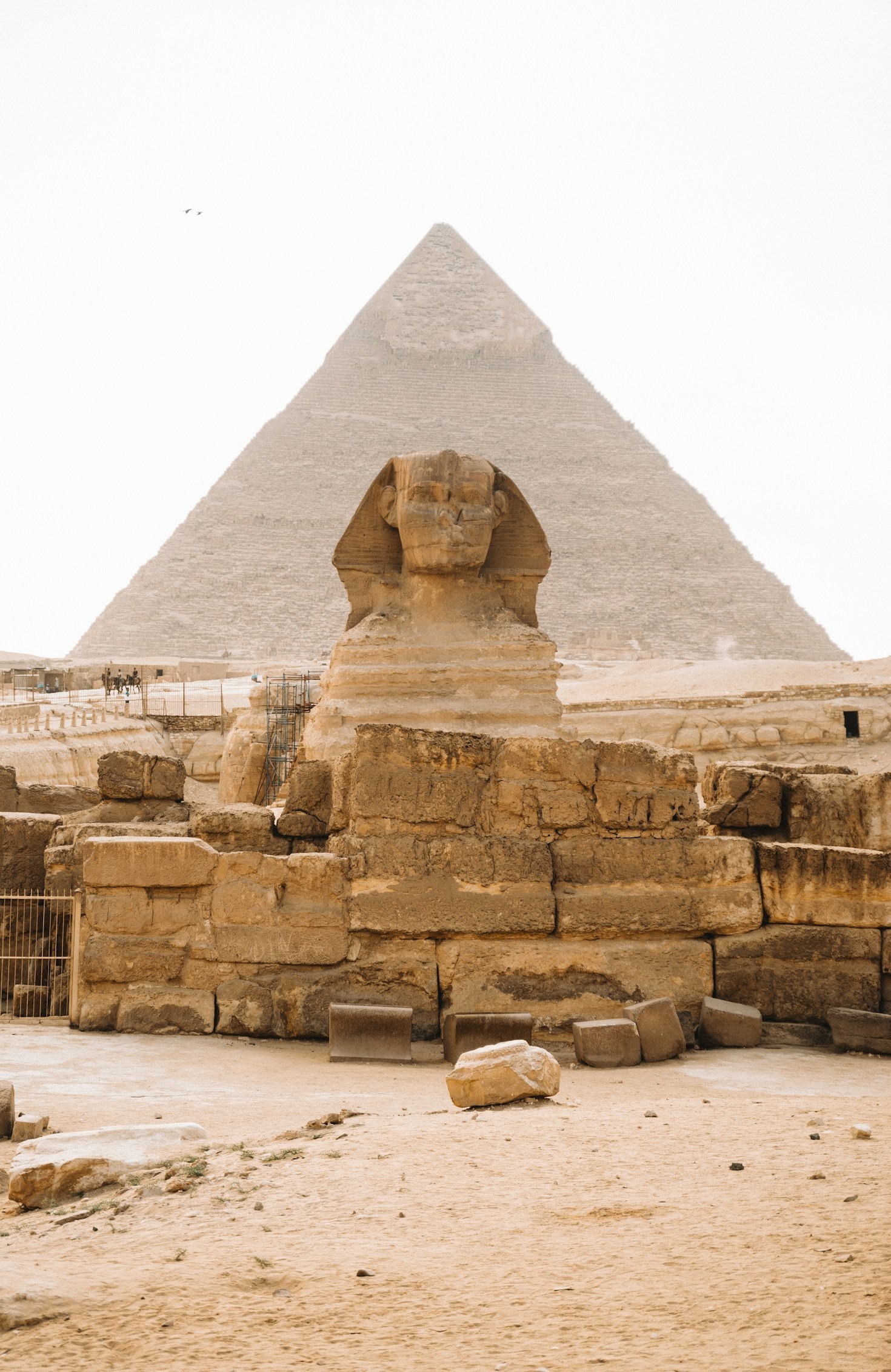 Top Reasons to Choose a Nile Cruise