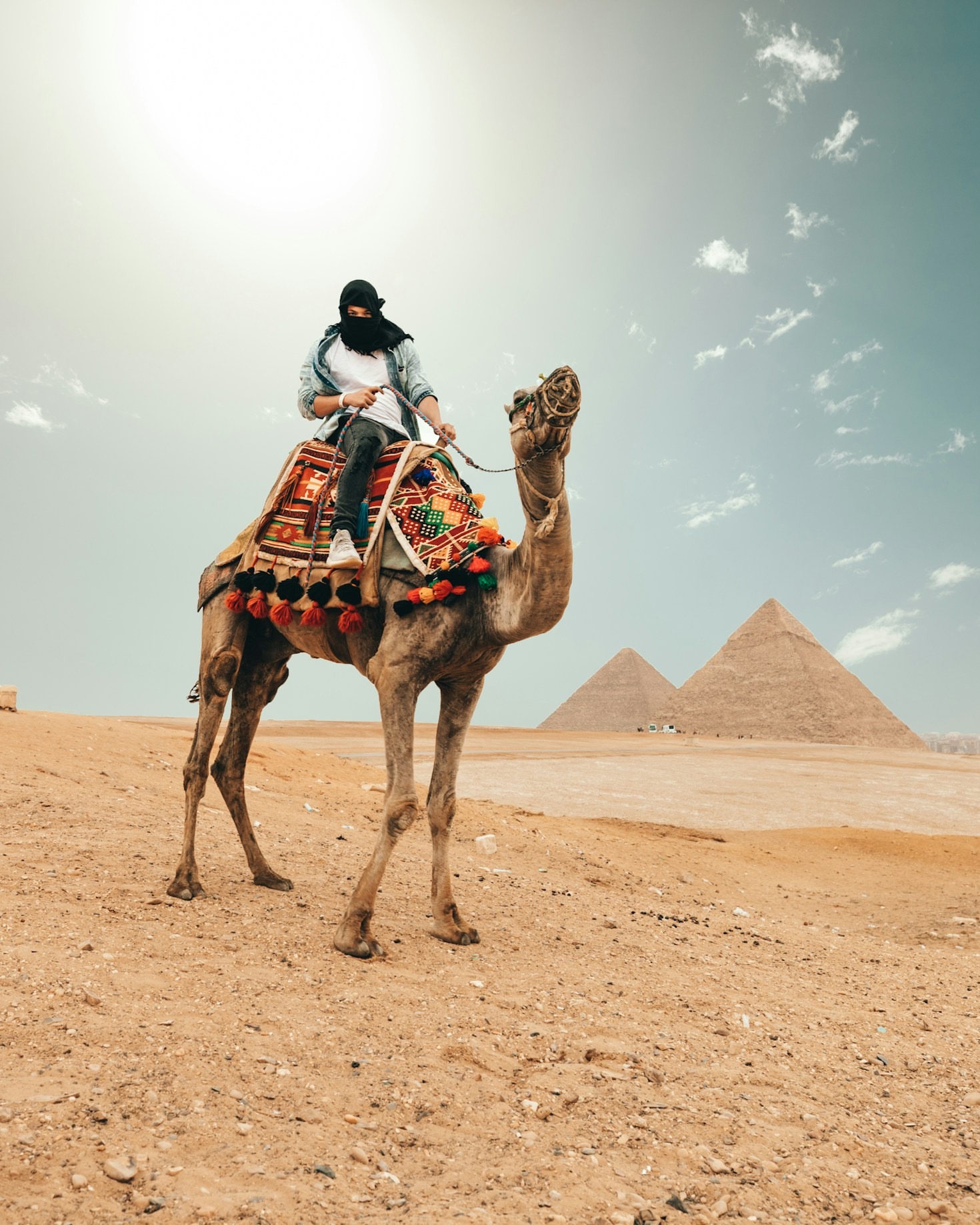 Luxury Meets History: Cruising the Nile in Style
